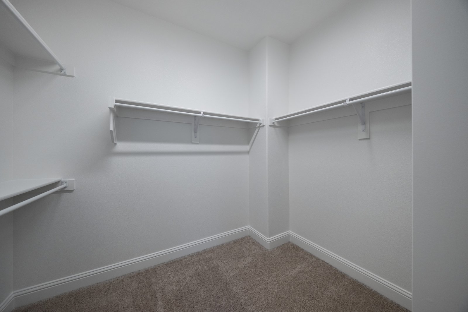 closet with hanging racks and carpet