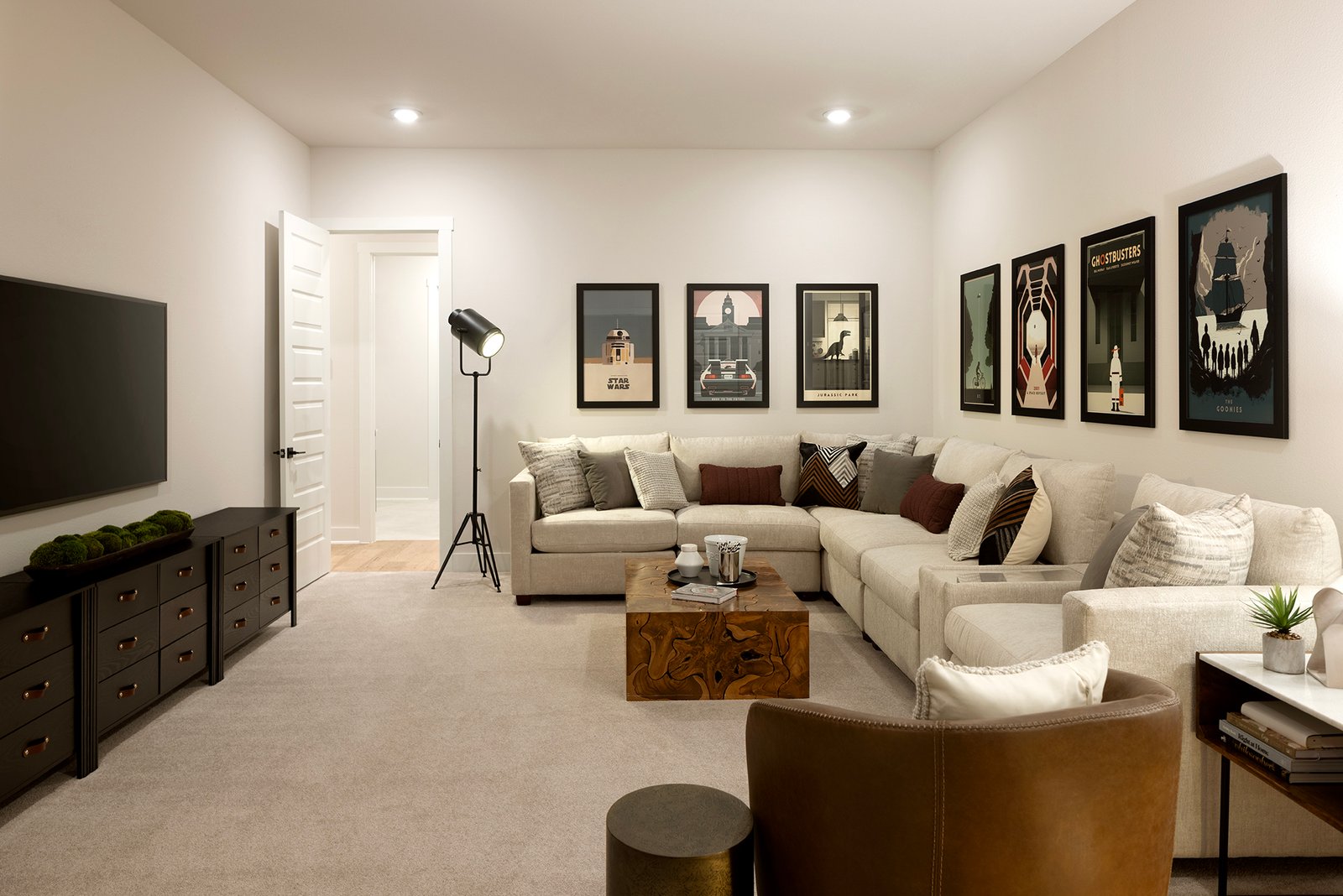 Sisterdale Media Room