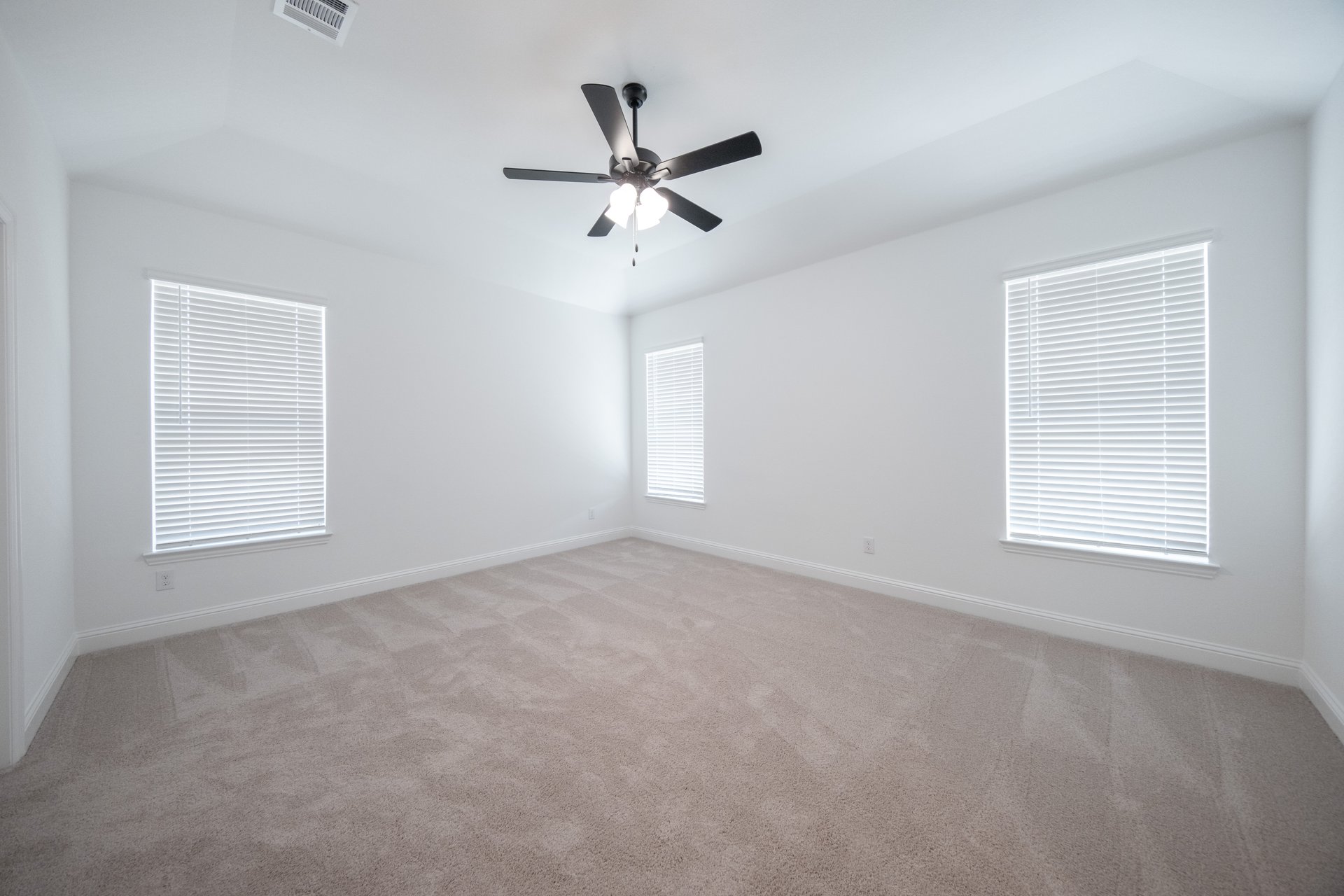 primary bedroom with carpet and windows